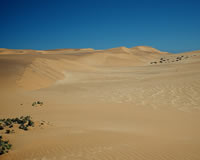 18 Day Cape and Namibia Highlights Tour